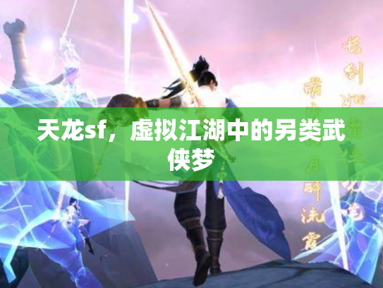 天龙sf，虚拟江湖中的另类武侠梦