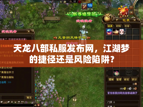 天龙八部私服发布网，江湖梦的捷径还是风险陷阱？