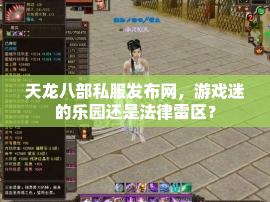 天龙八部私服发布网，游戏迷的乐园还是法律雷区？