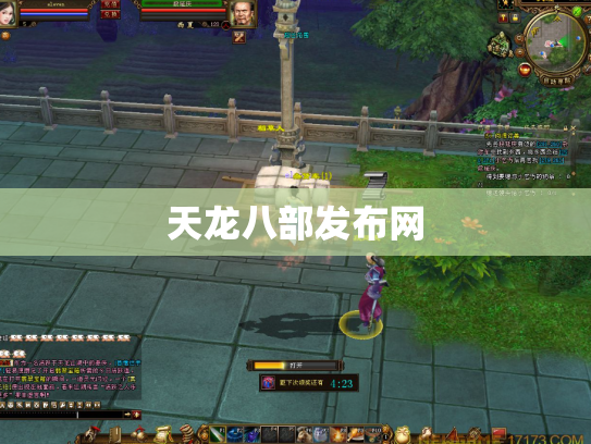 天龙八部发布网