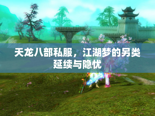 天龙八部私服，江湖梦的另类延续与隐忧