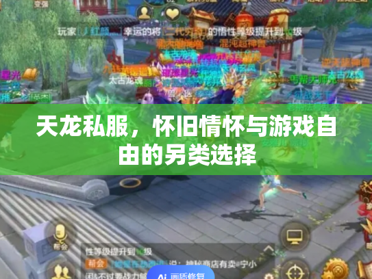 天龙私服，怀旧情怀与游戏自由的另类选择