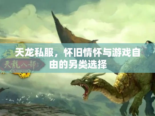 天龙私服，怀旧情怀与游戏自由的另类选择
