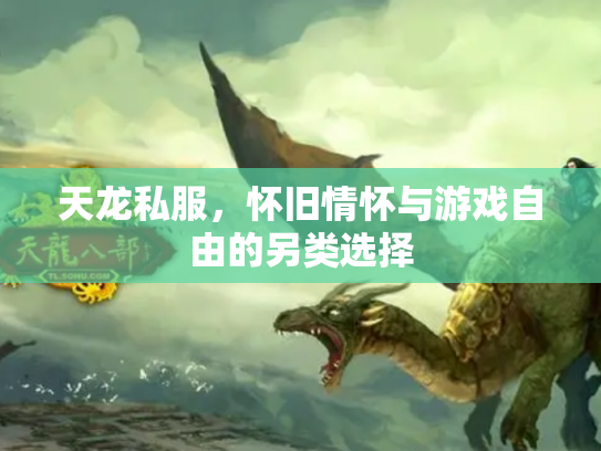 天龙私服，怀旧情怀与游戏自由的另类选择