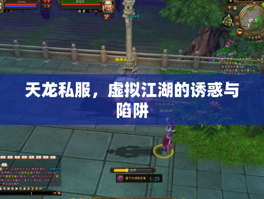 天龙私服，虚拟江湖的诱惑与陷阱
