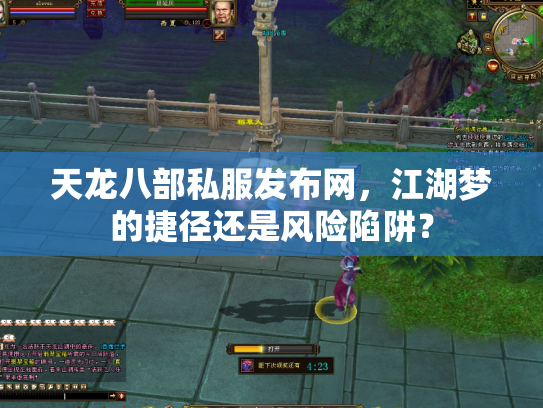 天龙八部私服发布网，江湖梦的捷径还是风险陷阱？