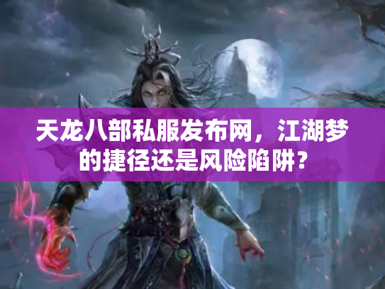天龙八部私服发布网，江湖梦的捷径还是风险陷阱？