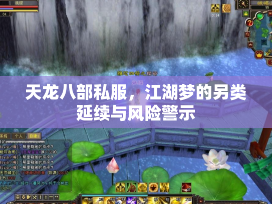 天龙八部私服，江湖梦的另类延续与风险警示