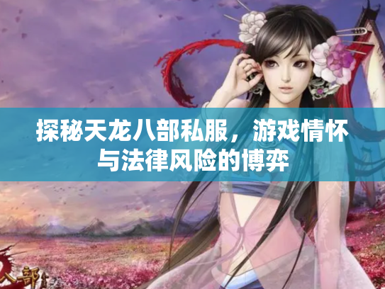探秘天龙八部私服，游戏情怀与法律风险的博弈