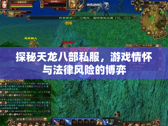 探秘天龙八部私服，游戏情怀与法律风险的博弈