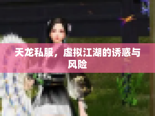 天龙私服，虚拟江湖的诱惑与风险