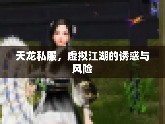 天龙私服，虚拟江湖的诱惑与风险