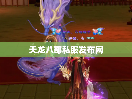 天龙八部私服发布网
