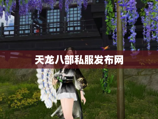 天龙八部私服发布网