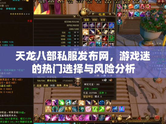 天龙八部私服发布网，游戏迷的热门选择与风险分析
