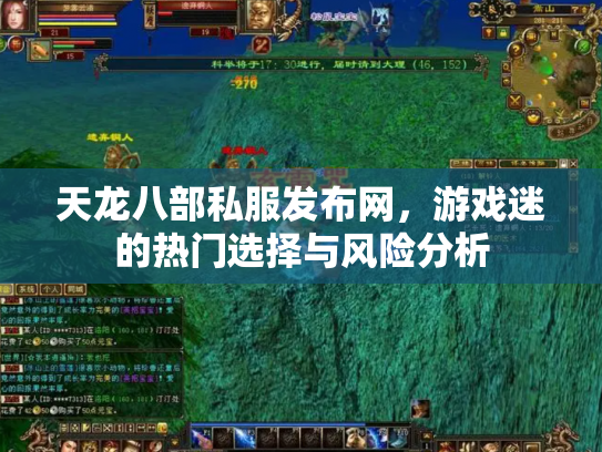 天龙八部私服发布网，游戏迷的热门选择与风险分析