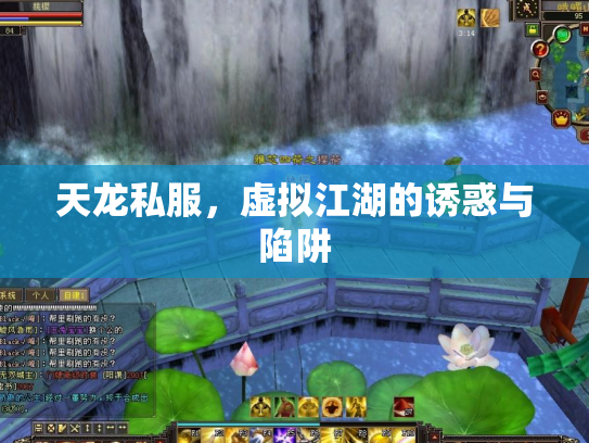 天龙私服，虚拟江湖的诱惑与陷阱