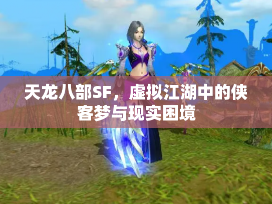 天龙八部SF，虚拟江湖中的侠客梦与现实困境