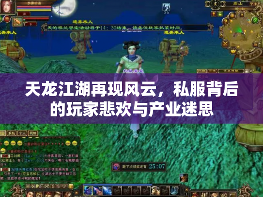 天龙江湖再现风云，私服背后的玩家悲欢与产业迷思