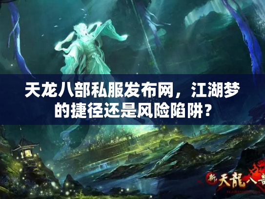 天龙八部私服发布网，江湖梦的捷径还是风险陷阱？