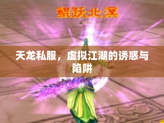 天龙私服，虚拟江湖的诱惑与陷阱