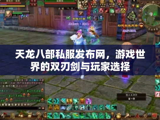 天龙八部私服发布网，游戏世界的双刃剑与玩家选择
