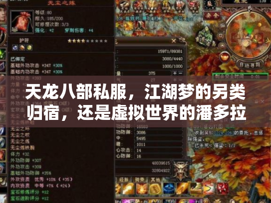 天龙八部私服，江湖梦的另类归宿，还是虚拟世界的潘多拉魔盒？