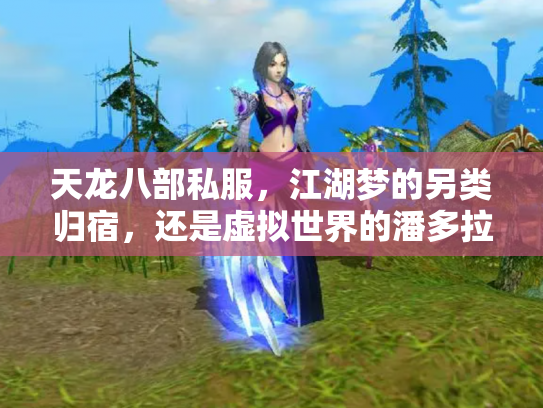 天龙八部私服，江湖梦的另类归宿，还是虚拟世界的潘多拉魔盒？