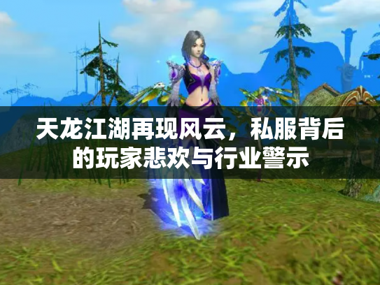 天龙江湖再现风云，私服背后的玩家悲欢与行业警示