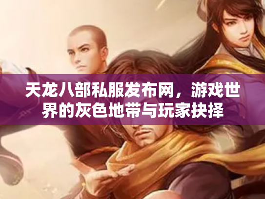 天龙八部私服发布网，游戏世界的灰色地带与玩家抉择