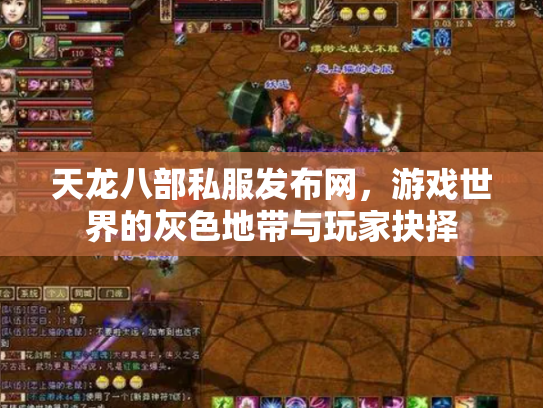 天龙八部私服发布网，游戏世界的灰色地带与玩家抉择