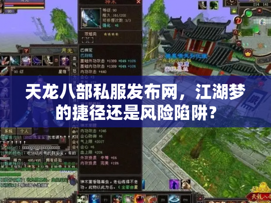 天龙八部私服发布网，江湖梦的捷径还是风险陷阱？