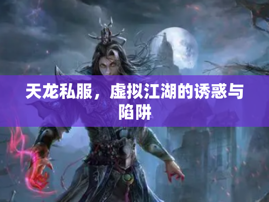天龙私服，虚拟江湖的诱惑与陷阱