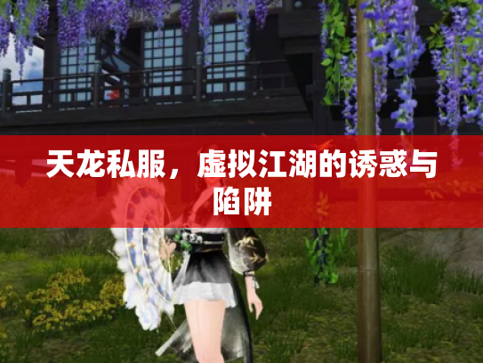天龙私服，虚拟江湖的诱惑与陷阱