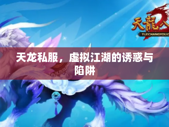 天龙私服，虚拟江湖的诱惑与陷阱