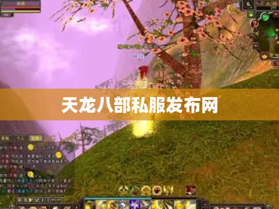 天龙八部私服发布网