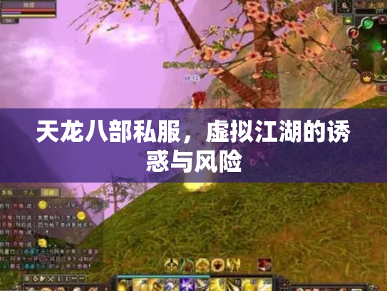天龙八部私服，虚拟江湖的诱惑与风险