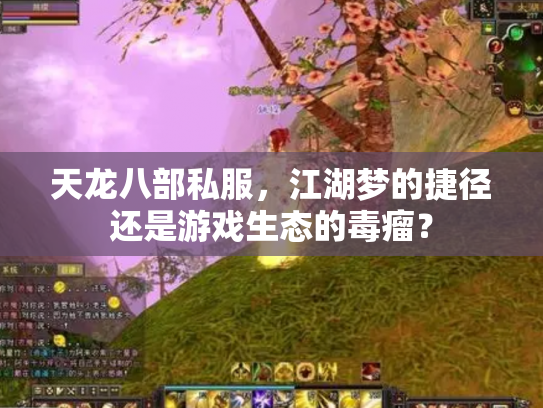 天龙八部私服，江湖梦的捷径还是游戏生态的毒瘤？