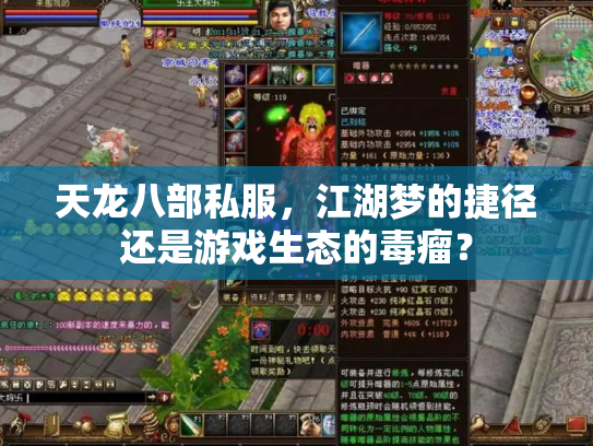 天龙八部私服，江湖梦的捷径还是游戏生态的毒瘤？