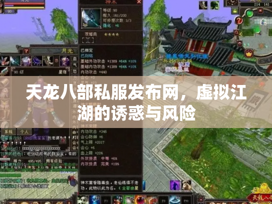 天龙八部私服发布网，虚拟江湖的诱惑与风险