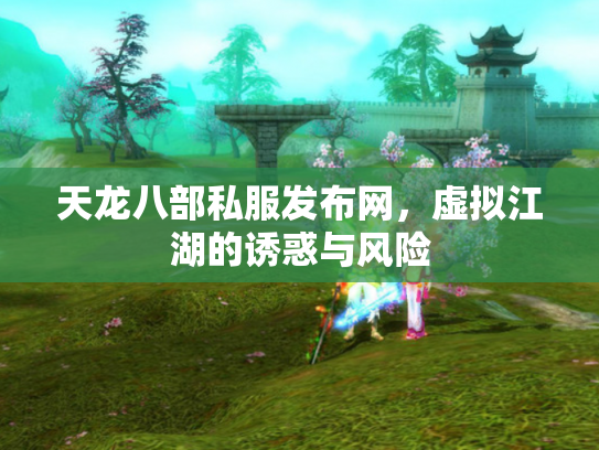 天龙八部私服发布网，虚拟江湖的诱惑与风险