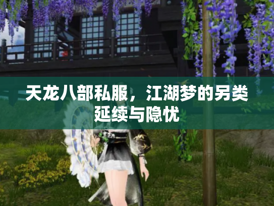 天龙八部私服，江湖梦的另类延续与隐忧