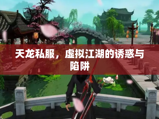 天龙私服，虚拟江湖的诱惑与陷阱