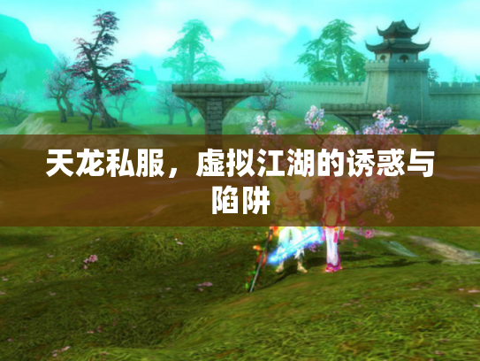 天龙私服，虚拟江湖的诱惑与陷阱