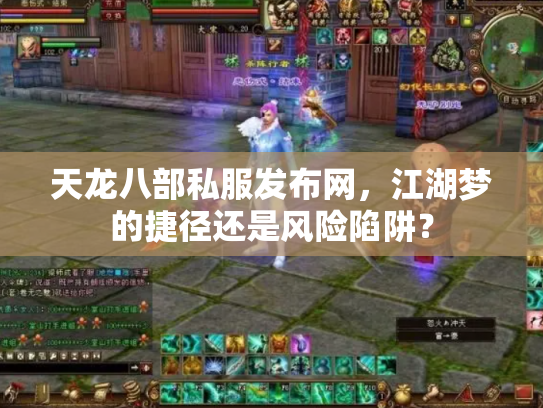 天龙八部私服发布网，江湖梦的捷径还是风险陷阱？