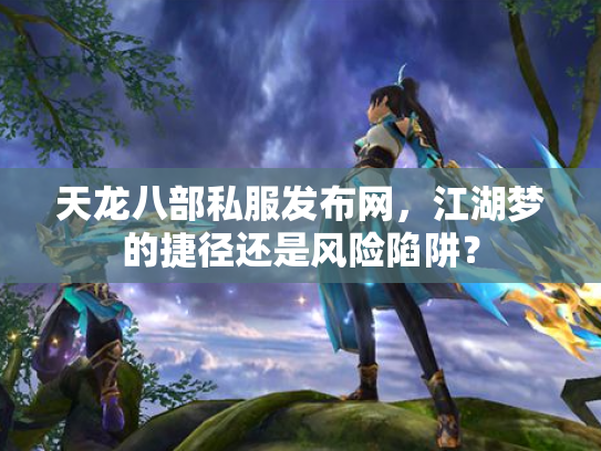 天龙八部私服发布网，江湖梦的捷径还是风险陷阱？