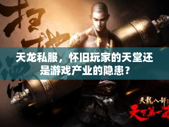 天龙私服，怀旧玩家的天堂还是游戏产业的隐患？