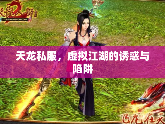 天龙私服，虚拟江湖的诱惑与陷阱