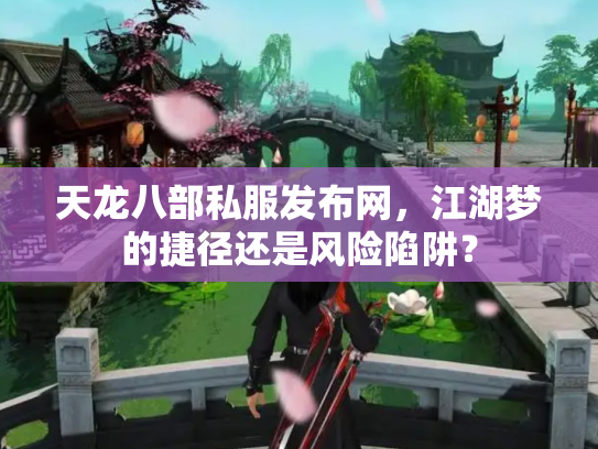 天龙八部私服发布网，江湖梦的捷径还是风险陷阱？