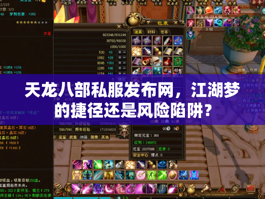 天龙八部私服发布网，江湖梦的捷径还是风险陷阱？